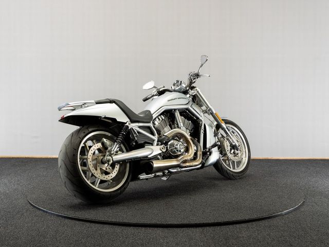 harley-davidson - night-rod-special-vrscdx