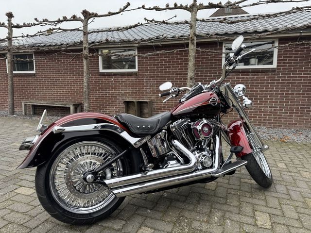 harley-davidson - softail-custom