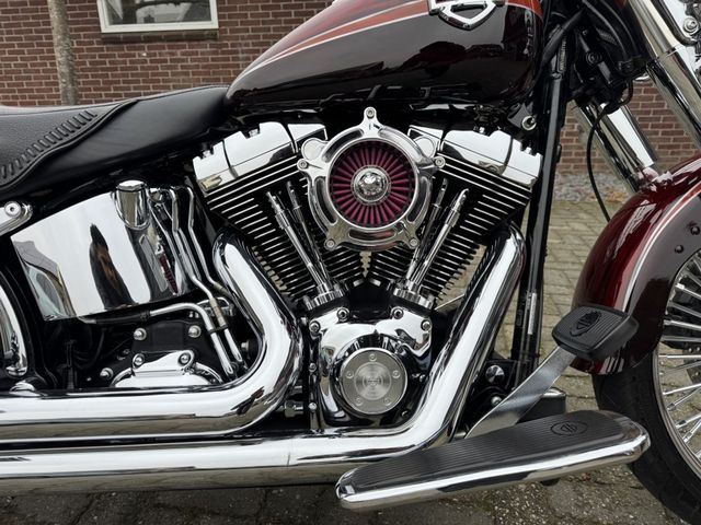 harley-davidson - softail-custom