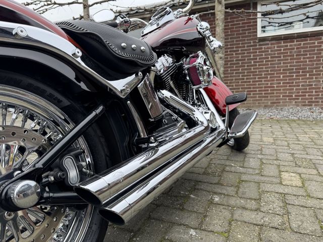 harley-davidson - softail-custom