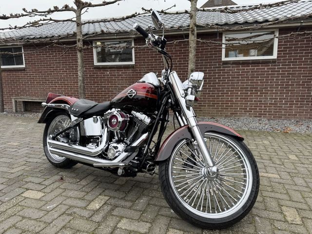 harley-davidson - softail-custom