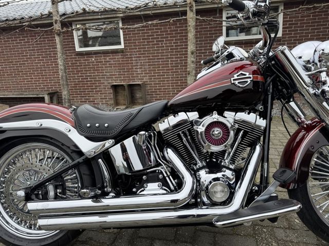 harley-davidson - softail-custom