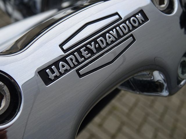 harley-davidson - softail-deluxe-flstn