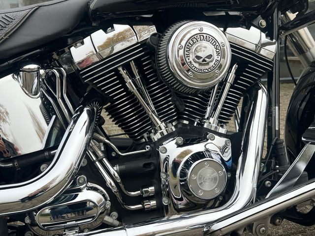 harley-davidson - softail-deluxe-flstn