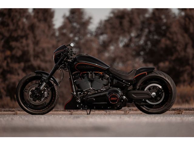 harley-davidson - softail-fxdr-114