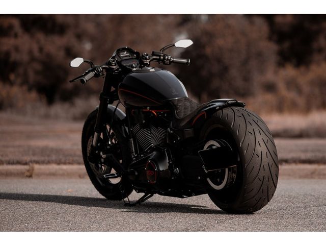 harley-davidson - softail-fxdr-114