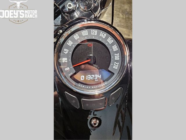 harley-davidson - softail-slim-107
