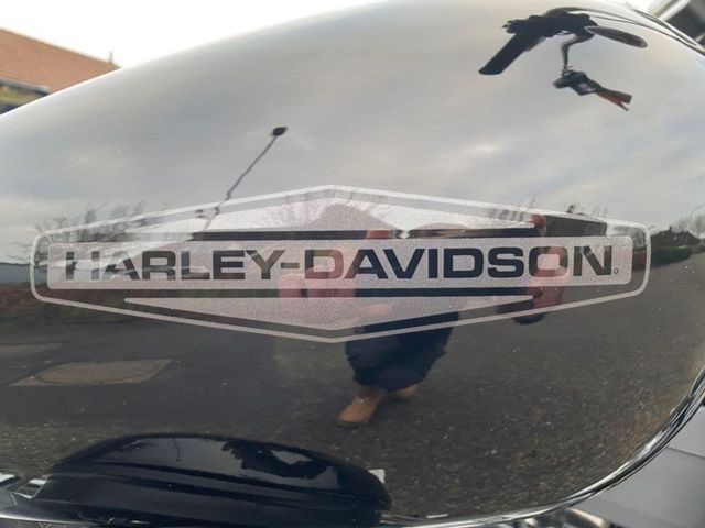 harley-davidson - softail-standard