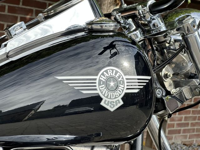 harley-davidson - softail-standard