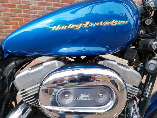 harley-davidson - sportster-custom--xl-53-c