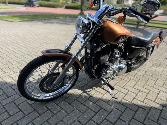 harley-davidson - sportster-custom-xl-1200-c