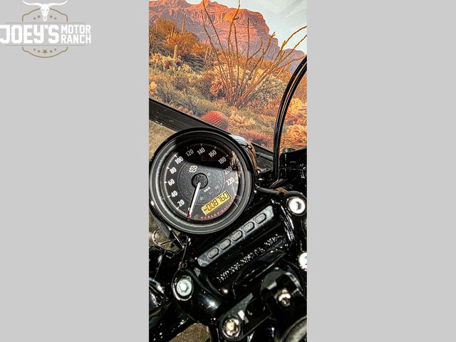 harley-davidson - sportster-forty-eight-special-xl-1200-xs