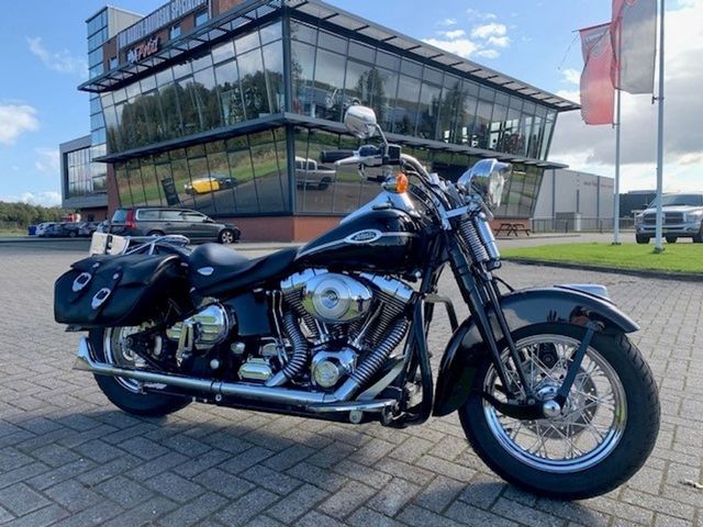 harley-davidson - springer-classic-flstsc-softail