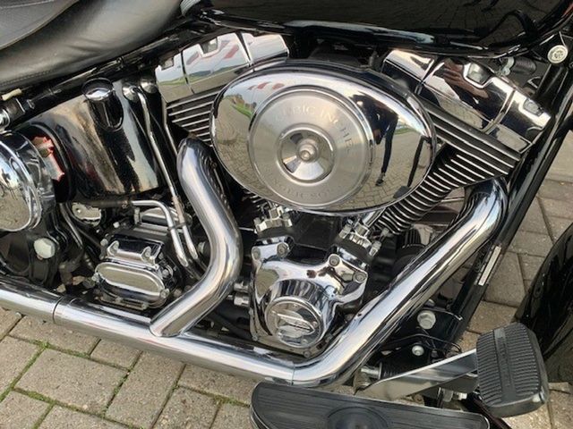 harley-davidson - springer-classic-flstsc-softail