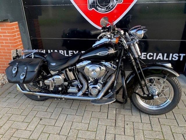 harley-davidson - springer-classic-flstsc-softail