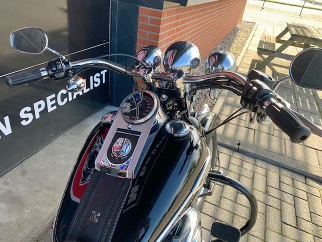 harley-davidson - springer-classic-flstsc-softail