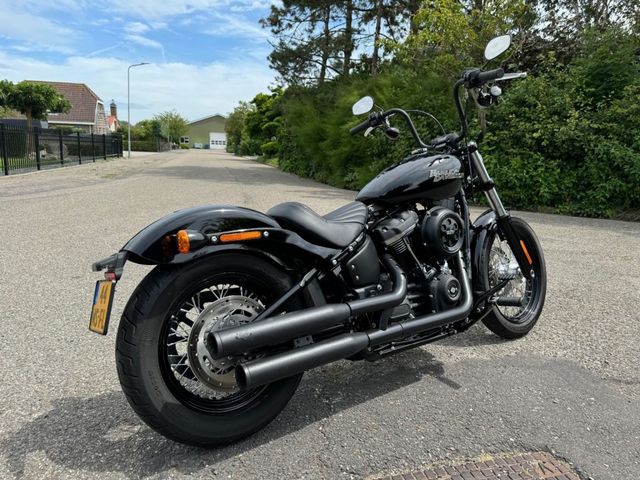 harley-davidson - street-bob