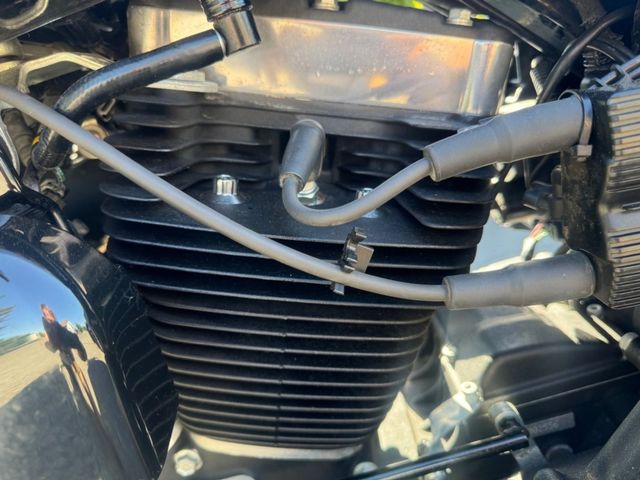 harley-davidson - street-bob-fxdb