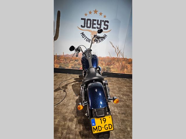 harley-davidson - street-bob-limited-edition-fxdbb