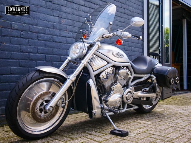 harley-davidson - v-rod-10th-anniversary-vrsc
