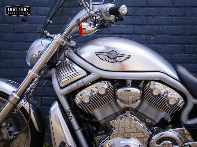harley-davidson - v-rod-10th-anniversary-vrsc