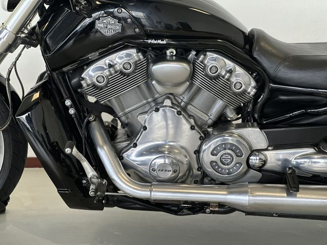 harley-davidson - v-rod-muscle-vrscf