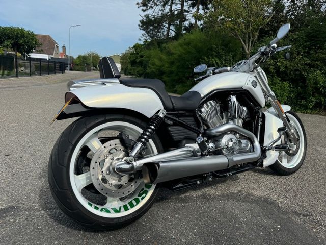 harley-davidson - v-rod-muscle-vrscf