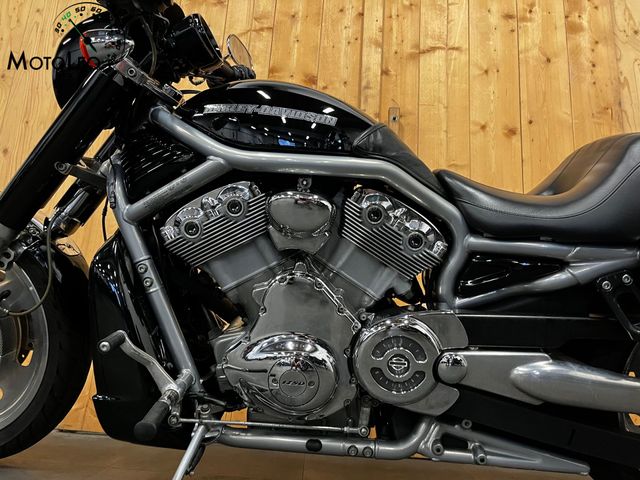 harley-davidson - v-rod-vrsca