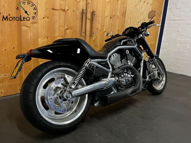 harley-davidson - v-rod-vrsca