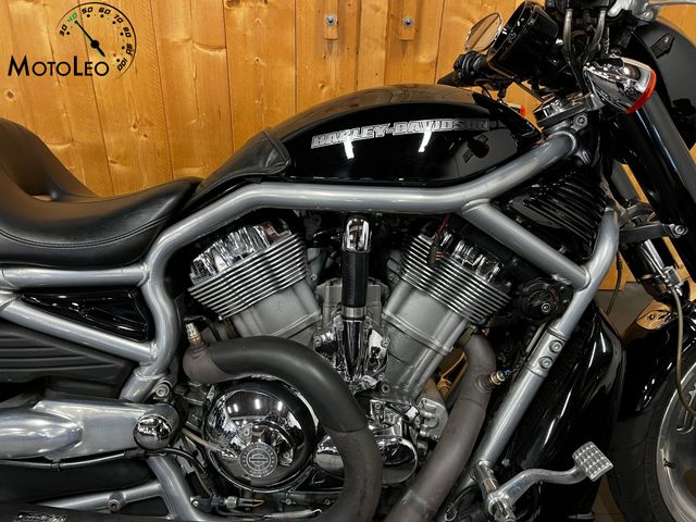 harley-davidson - v-rod-vrsca