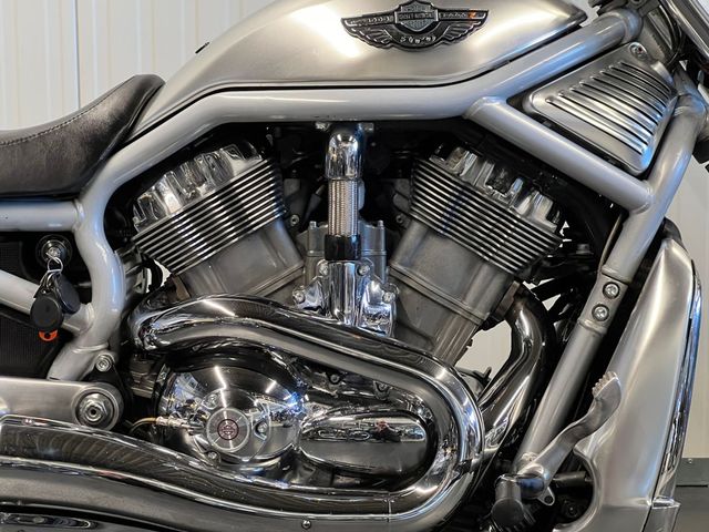 harley-davidson - v-rod-vrsca