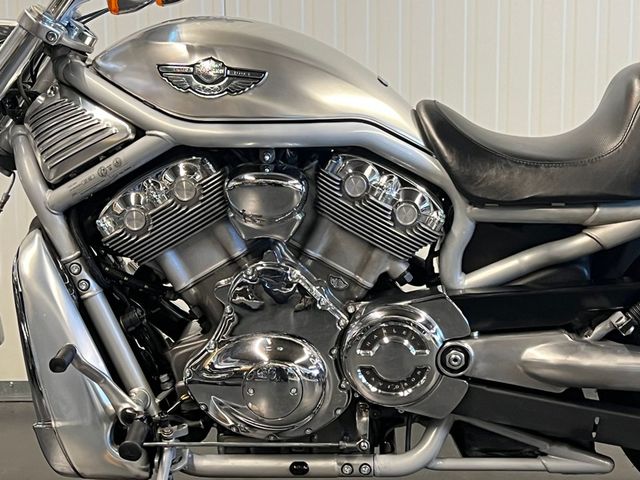 harley-davidson - v-rod-vrsca