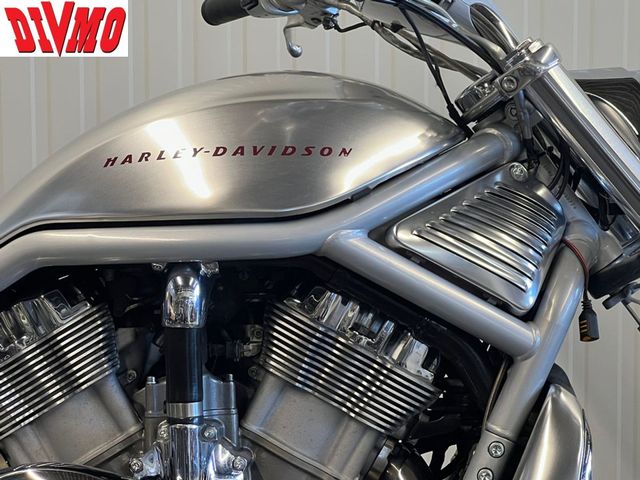 harley-davidson - v-rod-vrsca