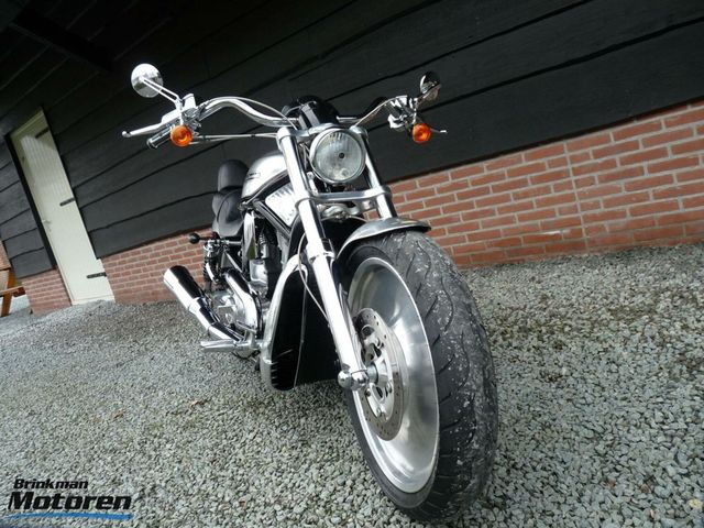 harley-davidson - v-rod-vrscb