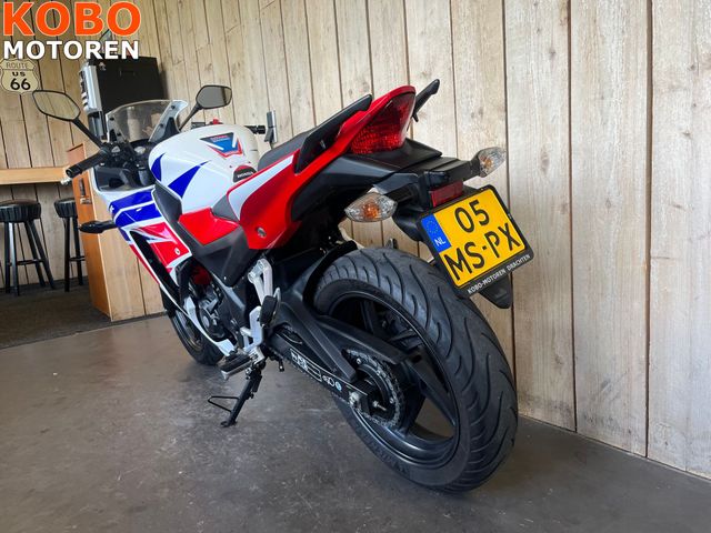 honda - cbr-300-r
