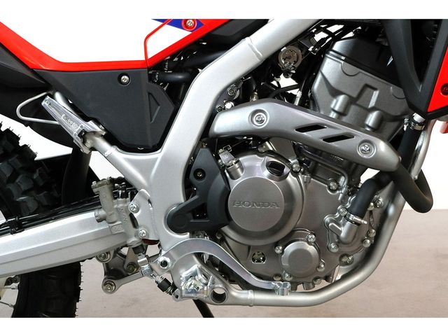 honda - crf-300-l