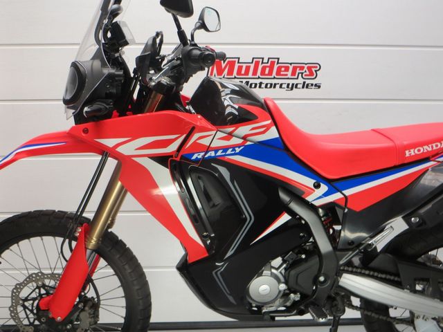 honda - crf-300-rally