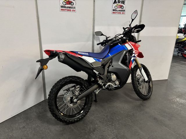 honda - crf-300-rally