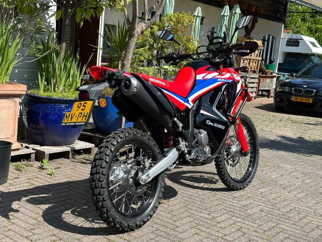 honda - crf-300-rally