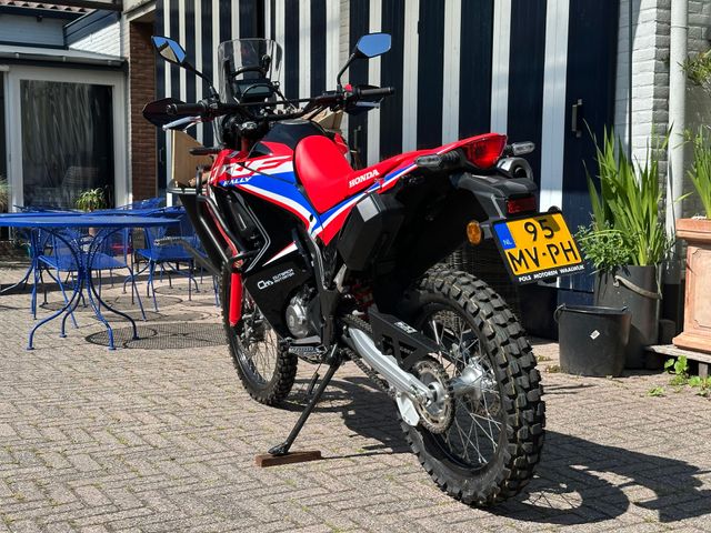 honda - crf-300-rally