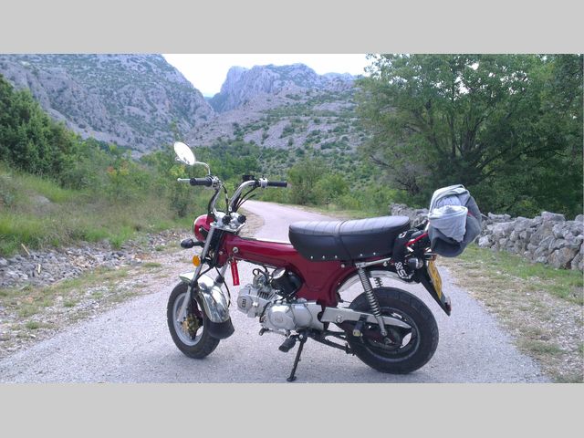 honda - st-125-dax