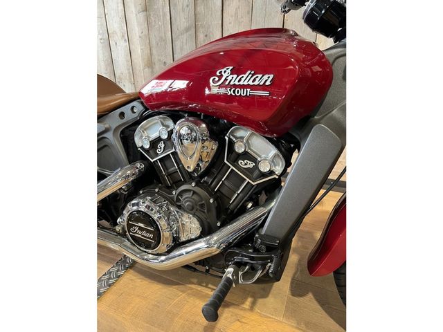 indian - scout