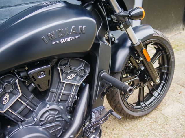 indian - scout-rogue