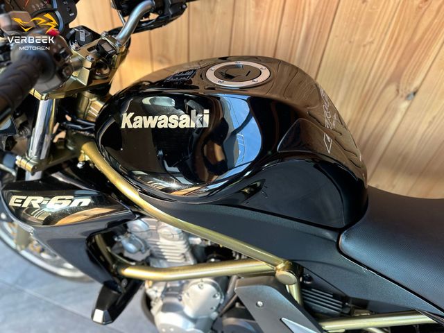 kawasaki - er-6-n