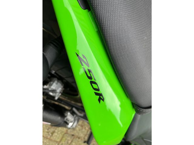 kawasaki - ninja-250-r