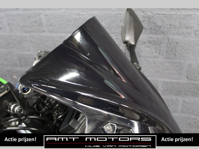kawasaki - ninja-300