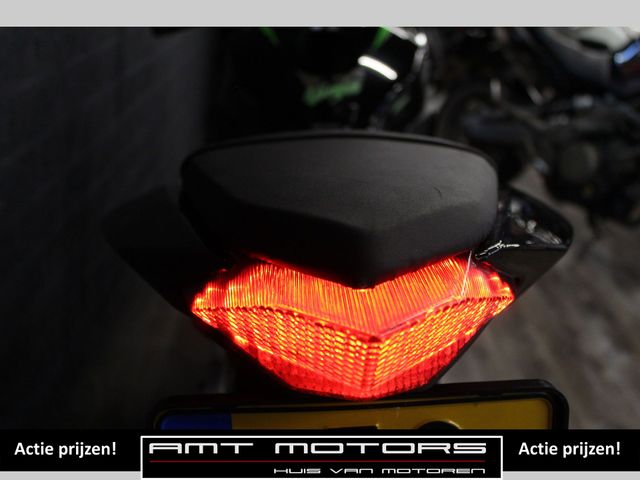 kawasaki - ninja-300