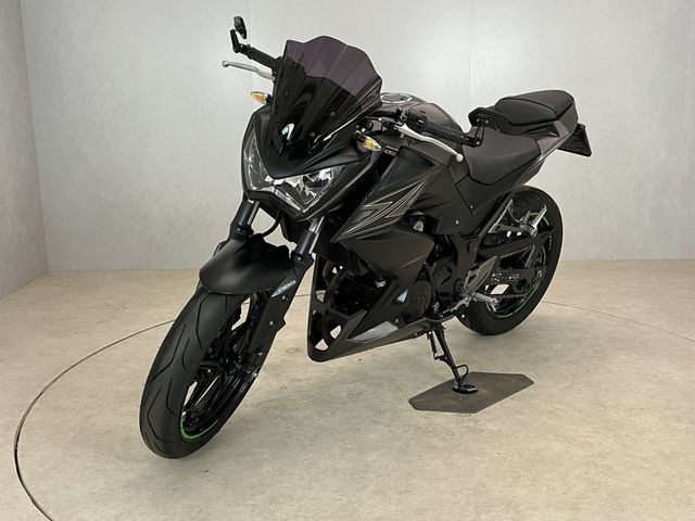 kawasaki - z-300