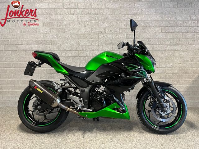 kawasaki - z-300-performance