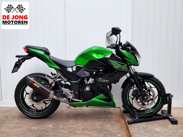 kawasaki - z-300-performance